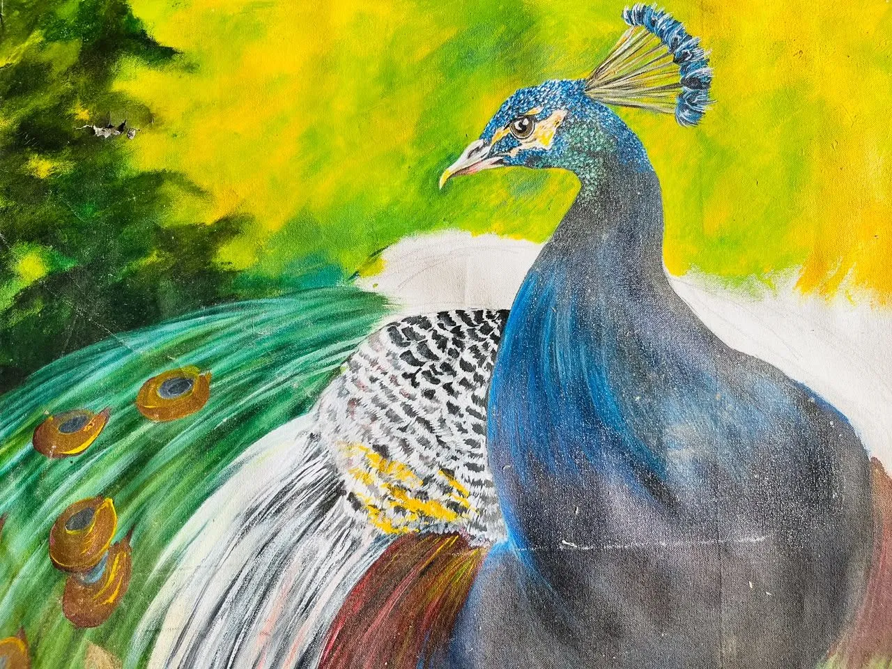 Wild Life Artwork 13